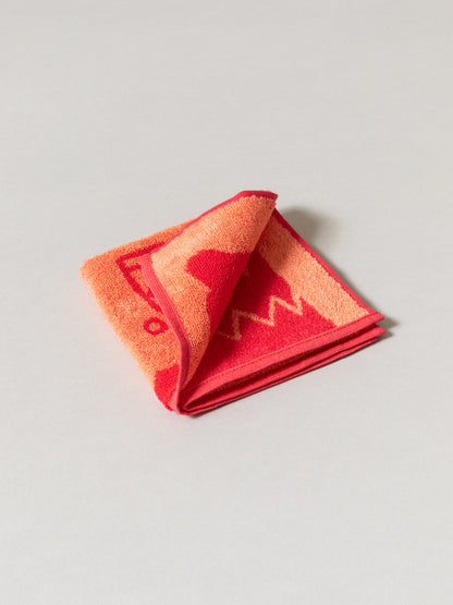 Animal Towel - Limited Colors